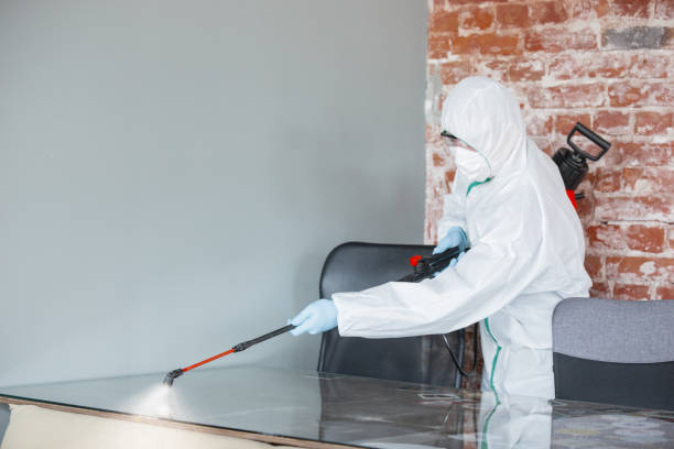 Trusted Iroquois Point, HI Mold Removal Services Experts